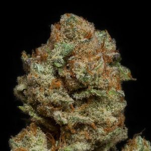 Banana Punch